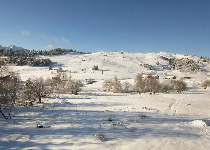 Appt 4/5 Pers. Les Saisies Front De Neige